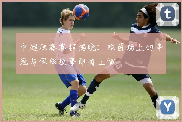 中超联赛赛程揭晓：绿茵场上的争冠与保级故事即将上演