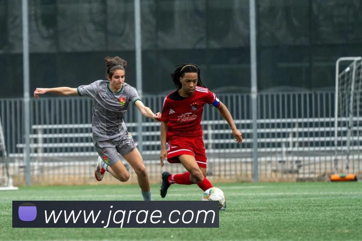 登录器